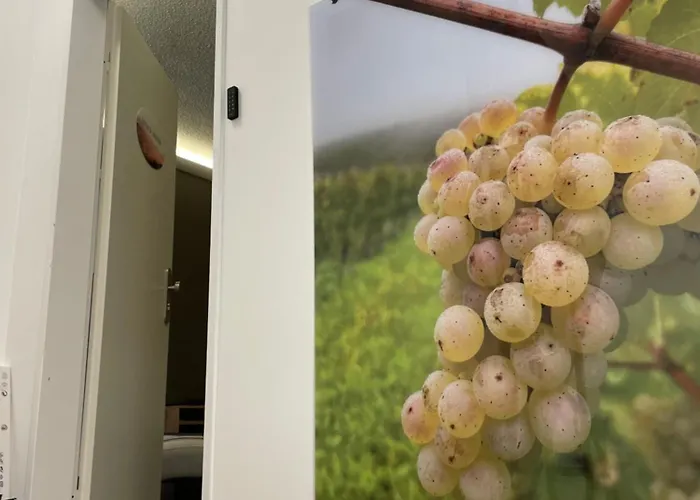 Burghaus-cochem Gasthuis